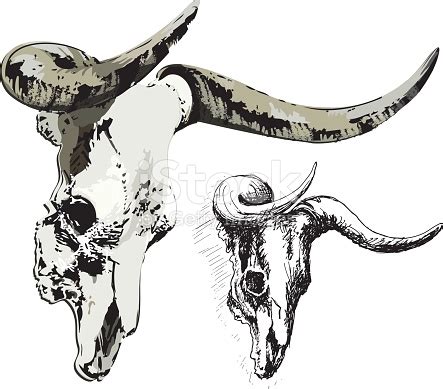 Bull Skull Drawing Side View Clip Art Library