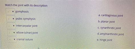 Solved Match the joint with its description gomphosis a. | Chegg.com