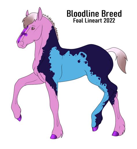 B Foal Design By Daretodream0 On Deviantart