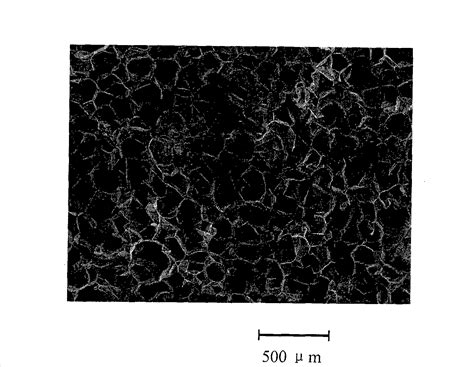 Polypropylene Foaming Material And Production Method Thereof Eureka