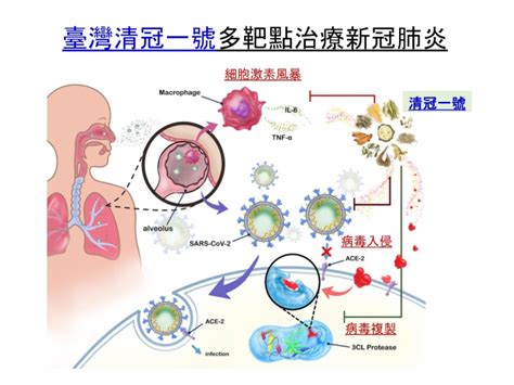 「清冠一號」實證有效 陳時中：確診居家照護可使用醫療 僑務電子報