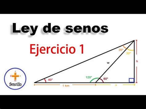 Ley De Senos Ejercicio Youtube