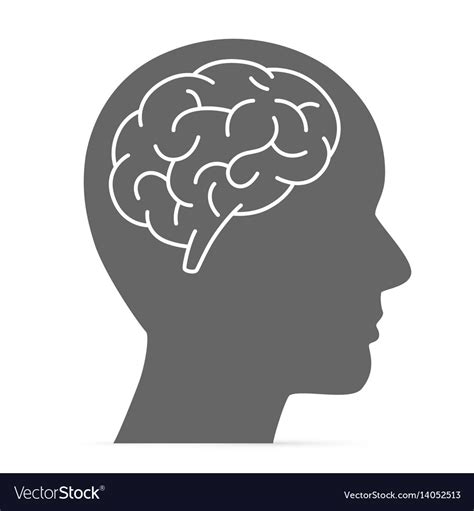 Silhouette Head With Brain Royalty Free Vector Image