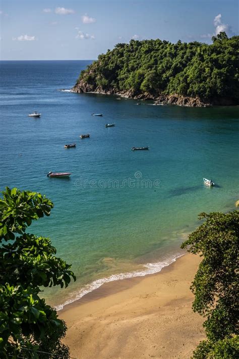 Amazing Tropical Beach In Trinidad And Tobago Caribe Blue Sky Trees