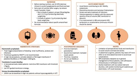 Life Free Full Text Clinical Guideline On Perioperative Management