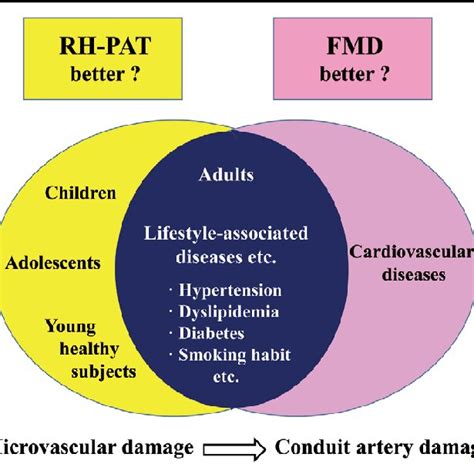 Figure. Postulated application of reactive hyperemia peripheral ...