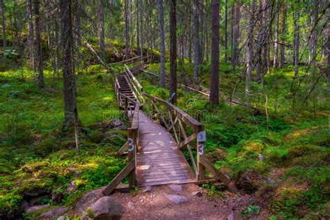 Natural Landscape of Helvetinjarvi National Park in Finland Stock Photo ...