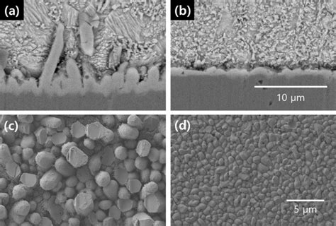 Cross Sectional And Top View Sem Images Of The Interfacial Imcs After