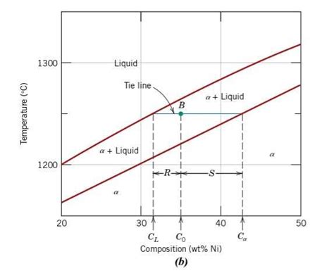 Understanding the Lever Rule in Phase Diagrams through an Example