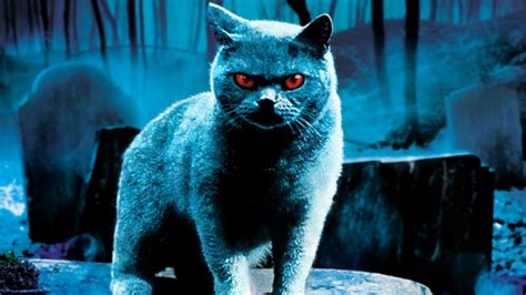 Pet Sematary (1989) Wallpapers