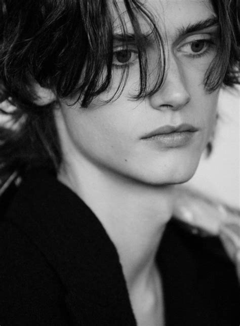 rabastan lestrange  alternate universe wiki fandom