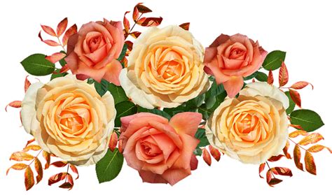 Download Flowers Roses Autumn Royalty Free Stock Illustration Image