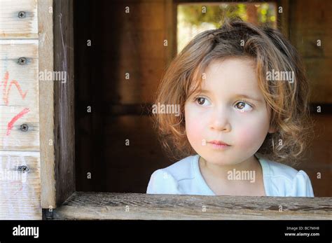 Niña de 3 años de edad con cabello castaño ojos marrones mira por la