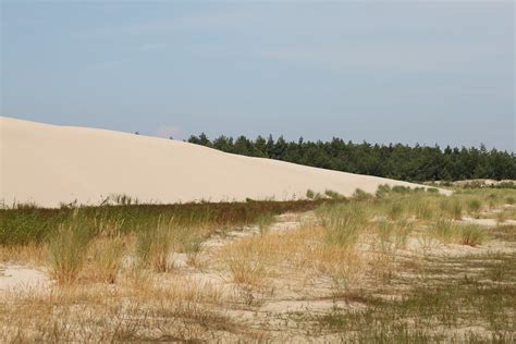 Dune Gundukan Mobile Pantai Laut Foto Gratis Di Pixabay Pixabay