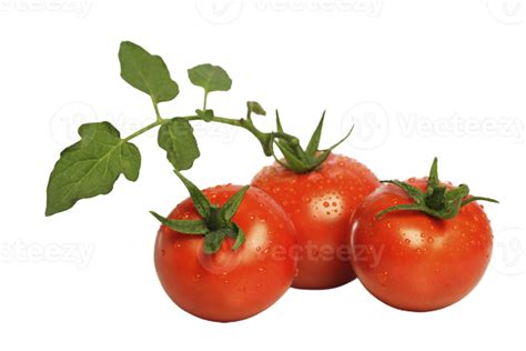 tomato png transparent background 29712754 PNG