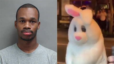 Easter bunny who broke up fight has criminal record, New Jersey warrant ...