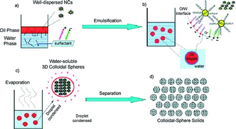 Schematic Of Microemulsion Template Synthesis Reprinted With