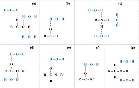 Illustration of plausible hydrogen bonding mechanisms between water ...