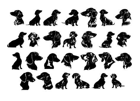 Dachshund Dog Svg Dachshund Clipart Dachshund Svg Files For Etsy Canada