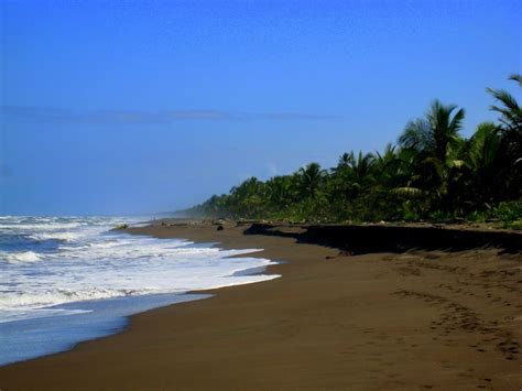 San Jose Tortuguero Park Day Tour With Breakfast Lunch GetYourGuide