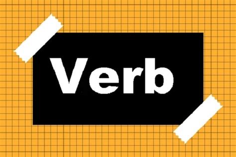 macam verb   mudah menguasai  grammar  gampang