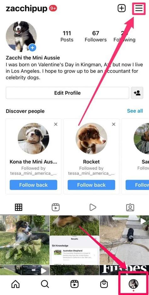 5 Steps To See Liked Posts On Instagram Early Finder