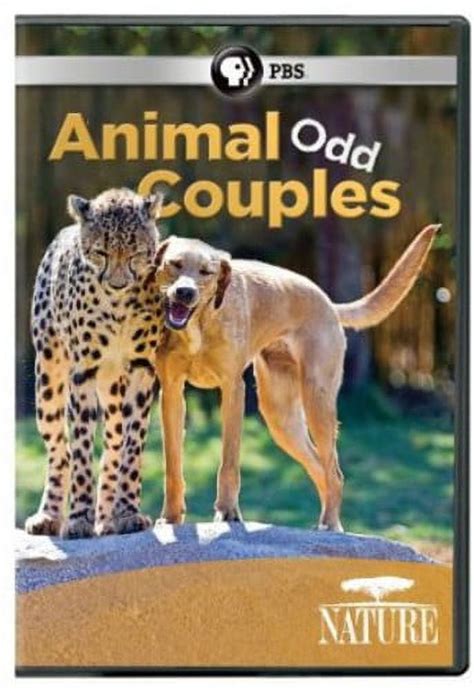 Nature: Animal Odd Couples (DVD), PBS (Direct), Special Interests - Walmart.com