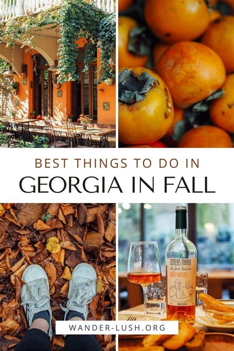 Autumn In Georgia Country 10 Things To Do Travel Tips Things To