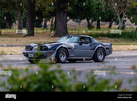 Pace Car Corvette 1978 Chevy Chevrolet Sting Ray Hi Res Stock