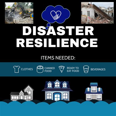 Disaster Resilience