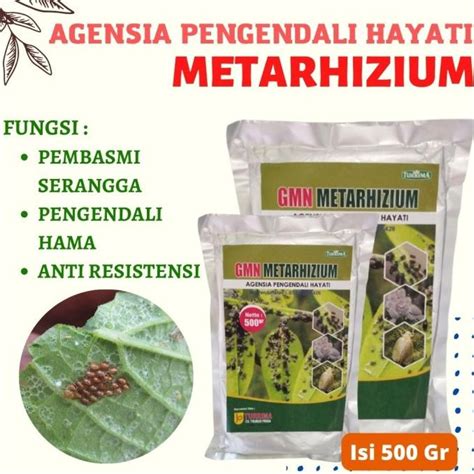 Jual Agensia Hayati Metarhizium Metarizium Obat Hama Pembasmi Hama