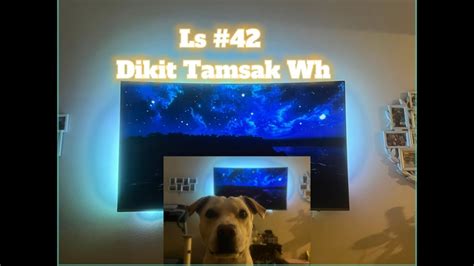 HELLO LS 42 DIKIT TAMSAK WH Livestream Live Youtube YouTube