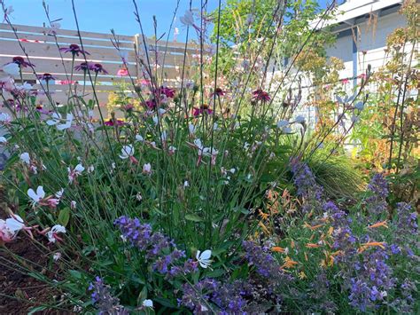 Naturalistic Garden Design North Arrow Landscapes, Nanaimo