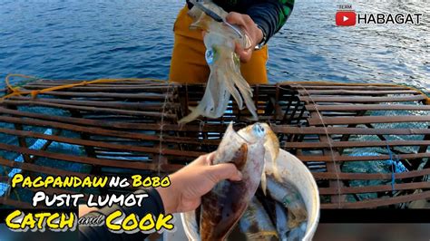 Pagpandaw Ng BOBO Squid Trap Pusit Lumot Catch And Cook