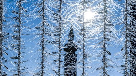 Nach Wintereinbruch In Bayern Dwd Warnt In M Nchen Erneut