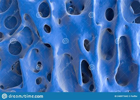 Normal Bone Structure Healthy Bone Cortex - Front View 3d Illustration ...