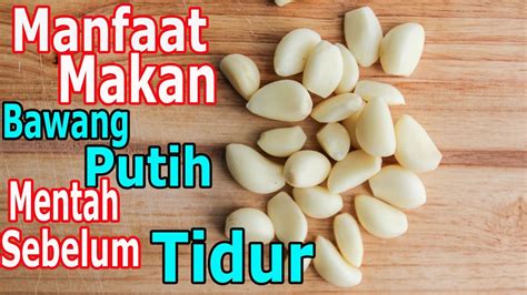 Khasiat Bawang Putih Tumbuhan Herba