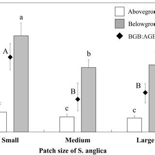 Relationships Between Living And Dead Spartina Anglica Biomass And