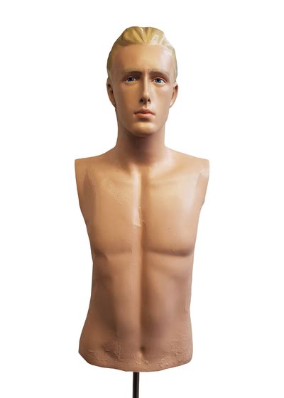 Mannequin 17 Male Torso Realistic H 0 78m First Scene Nzs