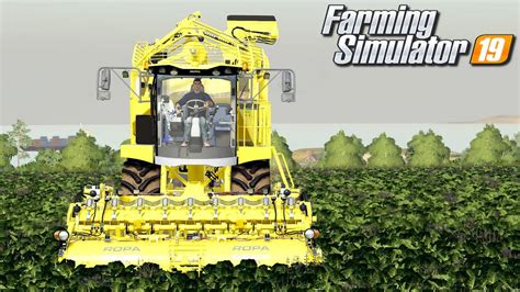 Zbiór buraków cukrowych Farming Simulator 19 44 YouTube