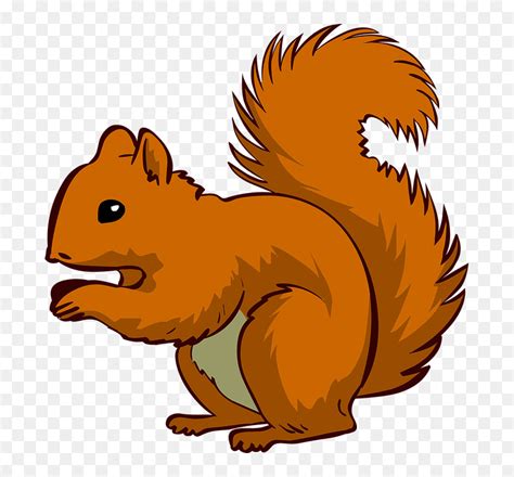 Squirrel Clipart Png, Transparent Png - vhv