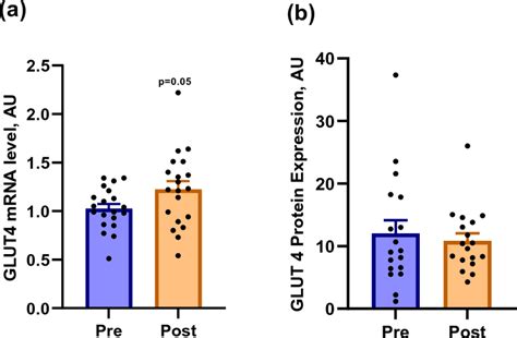 Glut Mrna Expression Level A And Glut Protein B In Skeletal