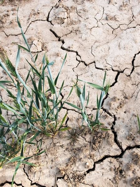 Viel Zu Trocken Viel Zu Nass Wie Landwirte Auf Den Klimawandel