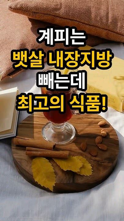 계피를 드세요 뱃살 내장지방 빼는데 최고입니다 뱃살 빼기 내장지방 빼는 좋은 음식 뱃살빼기 내장지방제거 Youtube