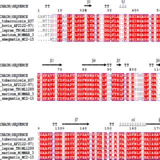 MTB Rv2140c Is Conserved Among Mycobacteria Amino Acid Sequence