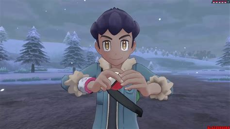 Pokémon Sword And Shield Hop Rival Battle 7 1080p Youtube