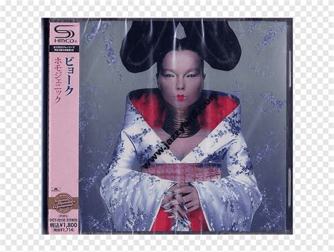 Bjork Homogenic