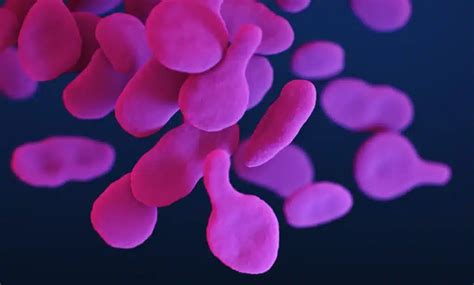 Mycoplasma Genitalium: Symptoms, Treatment, and Prevention Tips