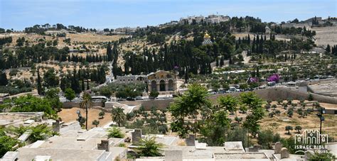 Israel Bible Tour Itinerary | Israel Bible Tours