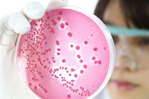 Importance Of Pharmaceutical Microbiology